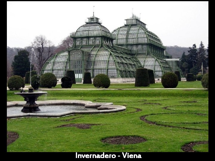 Invernadero - Viena 