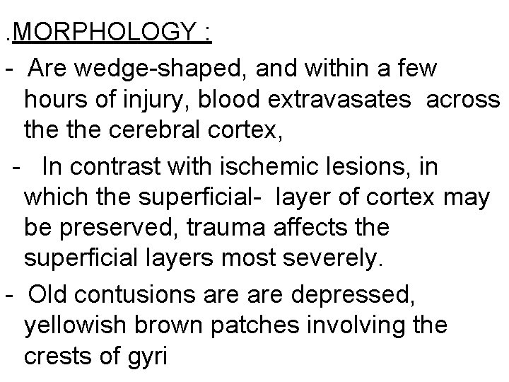 . MORPHOLOGY : - Are wedge-shaped, and within a few hours of injury, blood