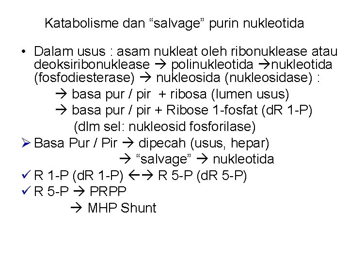 Katabolisme dan “salvage” purin nukleotida • Dalam usus : asam nukleat oleh ribonuklease atau