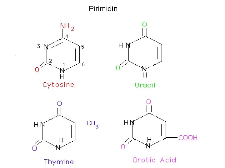 Pirimidin 