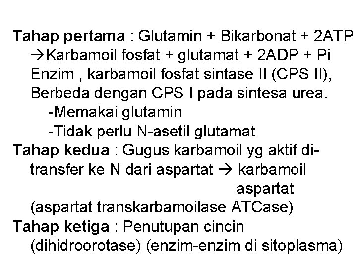 Tahap pertama : Glutamin + Bikarbonat + 2 ATP Karbamoil fosfat + glutamat +