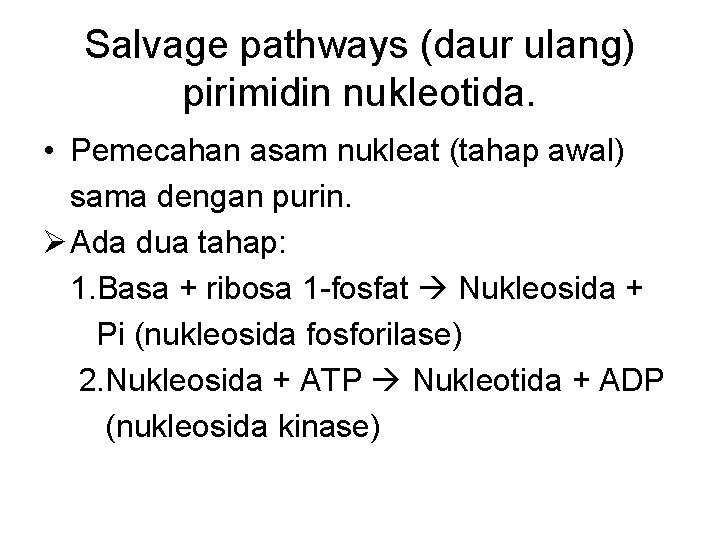 Salvage pathways (daur ulang) pirimidin nukleotida. • Pemecahan asam nukleat (tahap awal) sama dengan