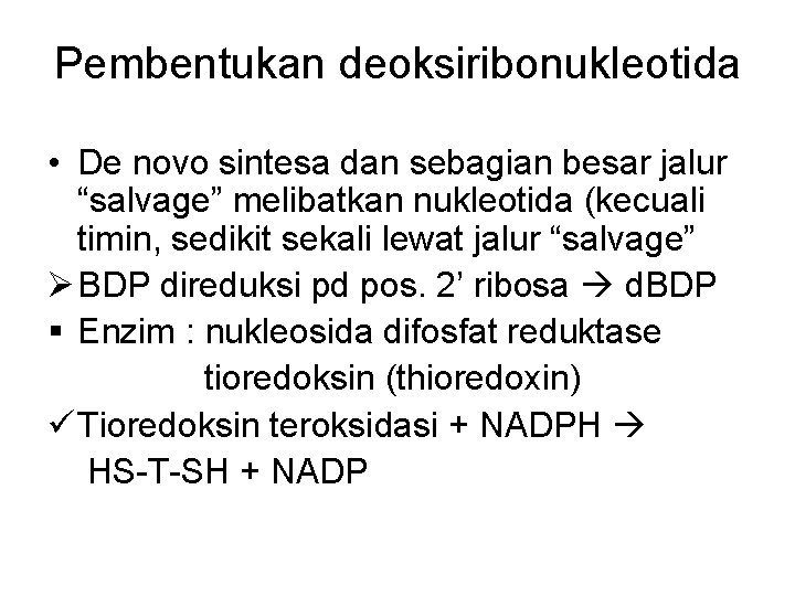 Pembentukan deoksiribonukleotida • De novo sintesa dan sebagian besar jalur “salvage” melibatkan nukleotida (kecuali