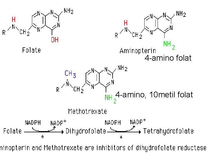 4 -amino folat 4 -amino, 10 metil folat 