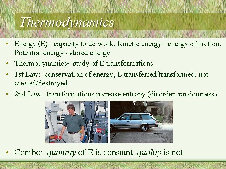 Thermodynamics • Energy (E)~ capacity to do work; Kinetic energy~ energy of motion; Potential