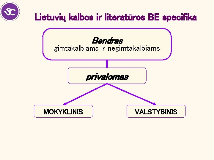Lietuvių kalbos ir literatūros BE specifika Bendras gimtakalbiams ir negimtakalbiams privalomas MOKYKLINIS VALSTYBINIS 