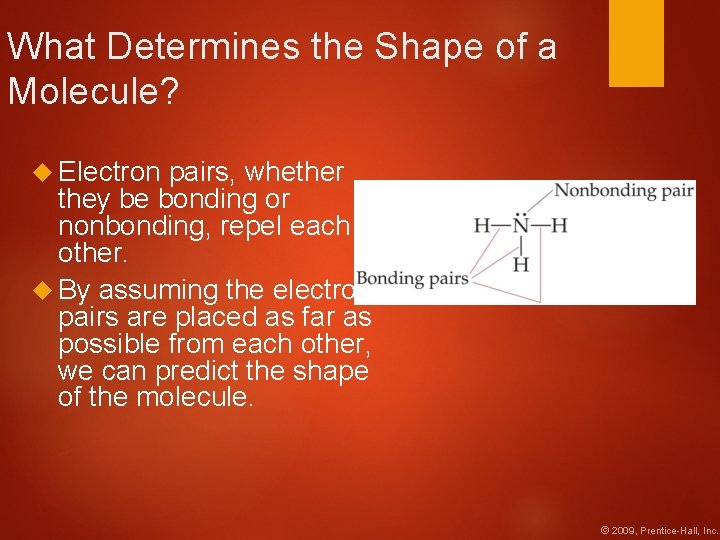 What Determines the Shape of a Molecule? Electron pairs, whether they be bonding or