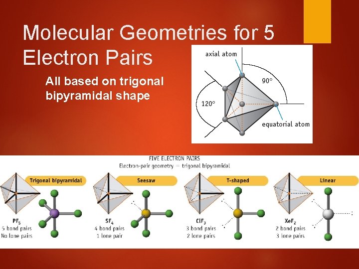 Molecular Geometries for 5 Electron Pairs All based on trigonal bipyramidal shape 