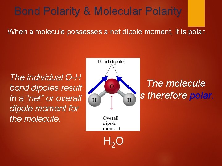 Bond Polarity & Molecular Polarity When a molecule possesses a net dipole moment, it
