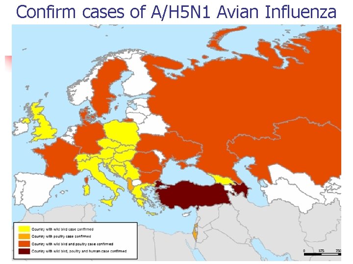 Confirm cases of A/H 5 N 1 Avian Influenza 