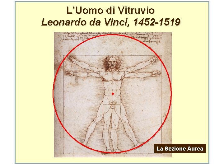 L’Uomo di Vitruvio Leonardo da Vinci, 1452 -1519 La Sezione Aurea 