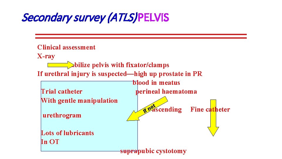 Secondary survey (ATLS) PELVIS Clinical assessment X-ray stabilize pelvis with fixator/clamps If urethral injury