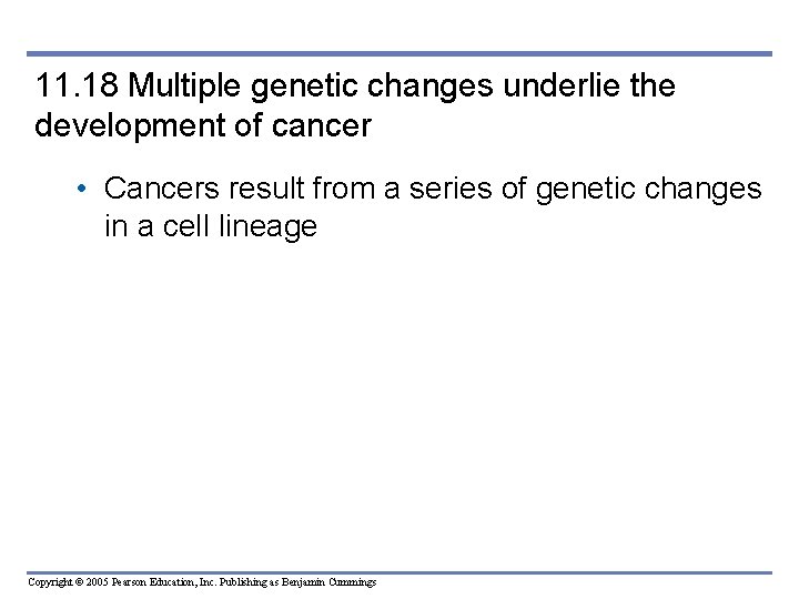 11. 18 Multiple genetic changes underlie the development of cancer • Cancers result from