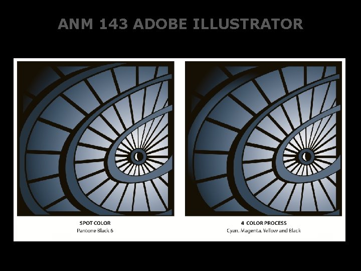 ANM 143 ADOBE ILLUSTRATOR 