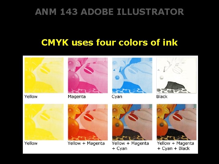 ANM 143 ADOBE ILLUSTRATOR CMYK uses four colors of ink 