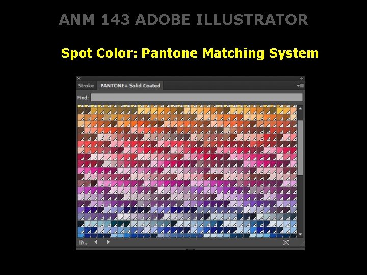 ANM 143 ADOBE ILLUSTRATOR Spot Color: Pantone Matching System 