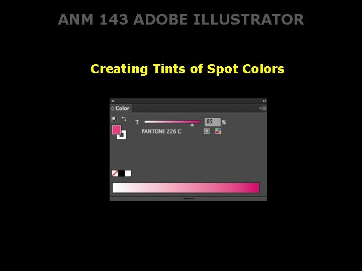 ANM 143 ADOBE ILLUSTRATOR Creating Tints of Spot Colors 