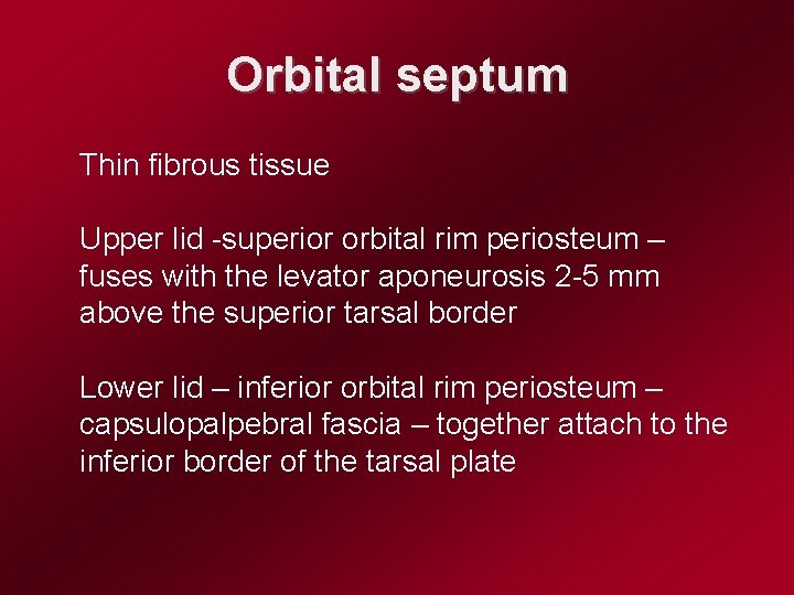 Orbital septum Thin fibrous tissue Upper lid -superior orbital rim periosteum – fuses with