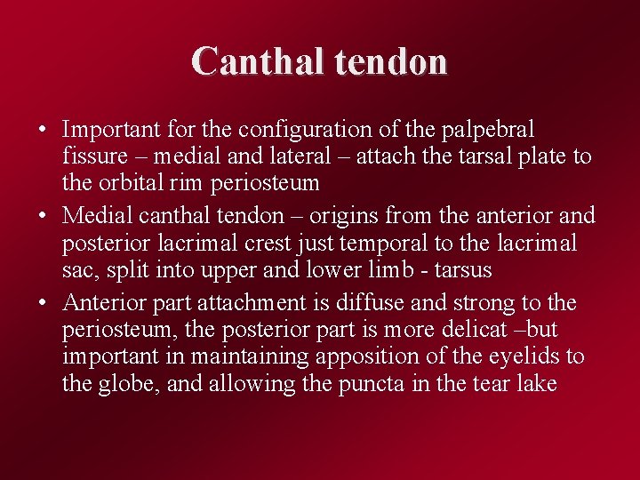 Canthal tendon • Important for the configuration of the palpebral fissure – medial and