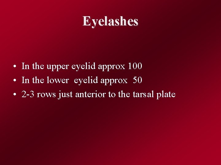 Eyelashes • In the upper eyelid approx 100 • In the lower eyelid approx