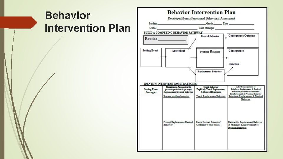 Behavior Intervention Plan 