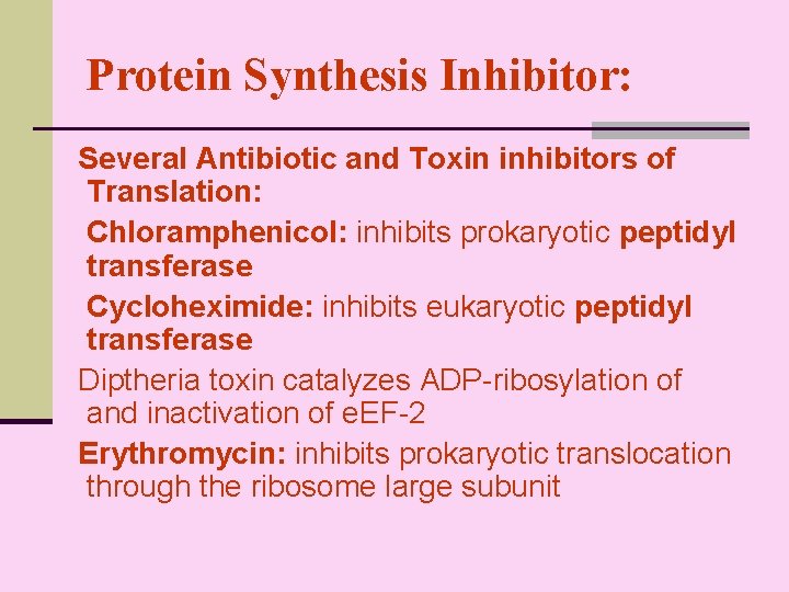 Protein Synthesis Inhibitor: Several Antibiotic and Toxin inhibitors of Translation: Chloramphenicol: inhibits prokaryotic peptidyl