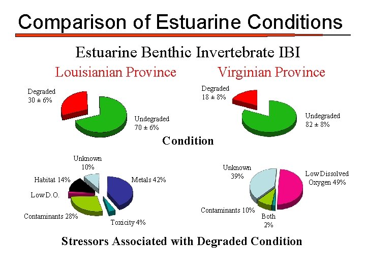 Comparison of Estuarine Conditions Estuarine Benthic Invertebrate IBI Louisianian Province Virginian Province Degraded 18