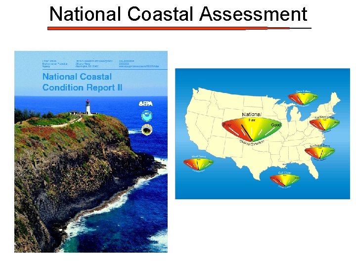 National Coastal Assessment 