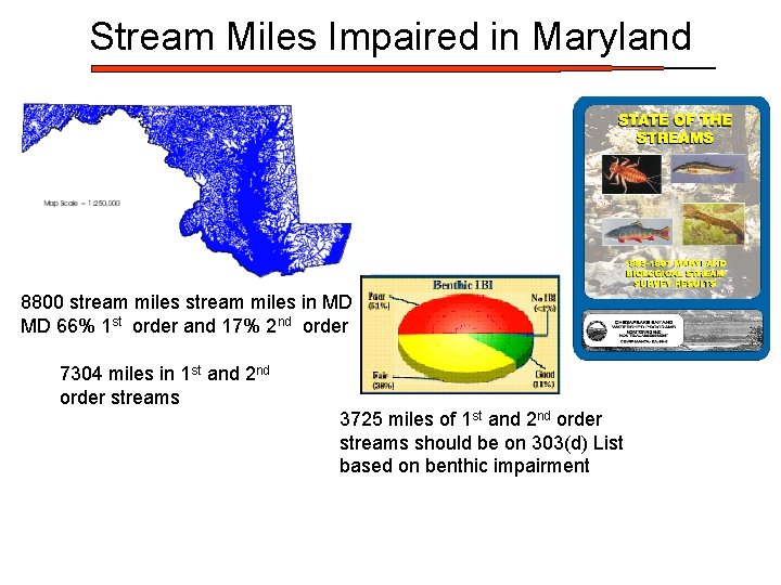 Stream Miles Impaired in Maryland 8800 stream miles in MD MD 66% 1 st