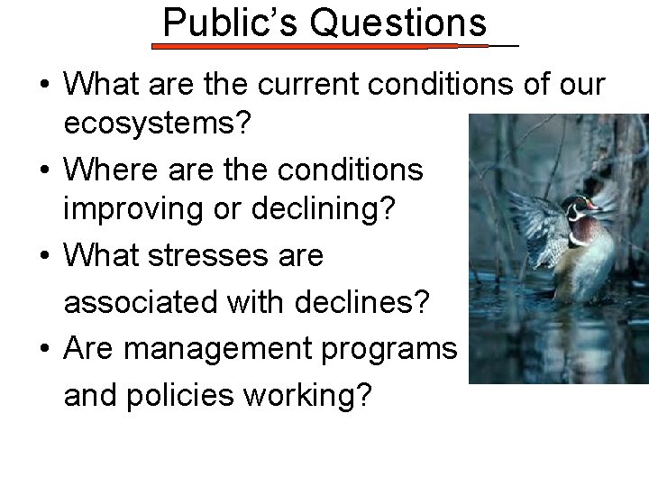 Public’s Questions • What are the current conditions of our ecosystems? • Where are