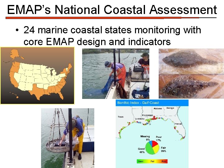 EMAP’s National Coastal Assessment • 24 marine coastal states monitoring with core EMAP design