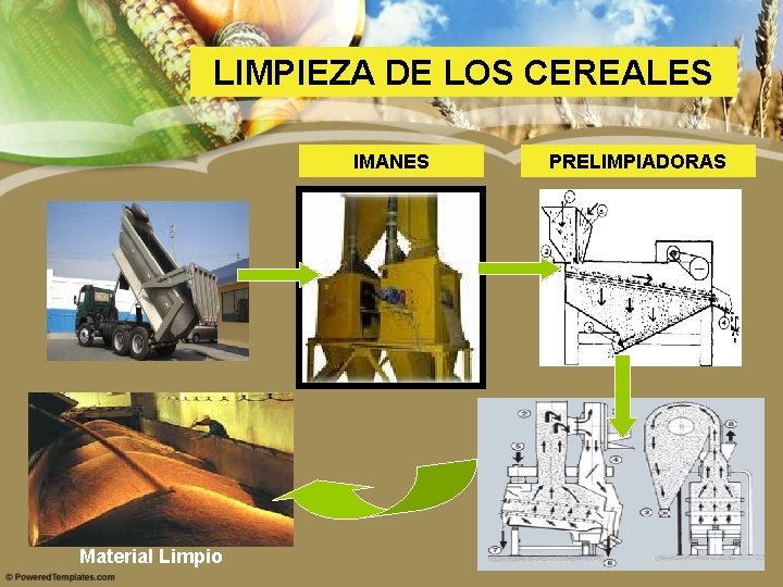 LIMPIEZA DE LOS CEREALES IMANES Material Limpio PRELIMPIADORAS 