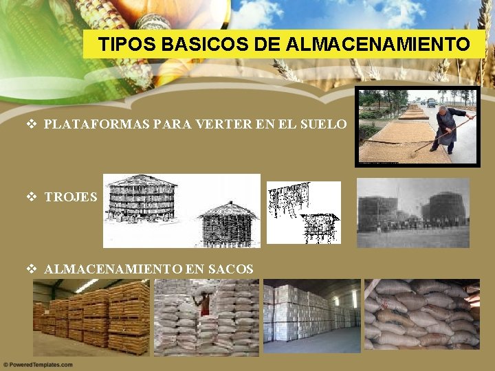TIPOS BASICOS DE ALMACENAMIENTO v PLATAFORMAS PARA VERTER EN EL SUELO v TROJES v