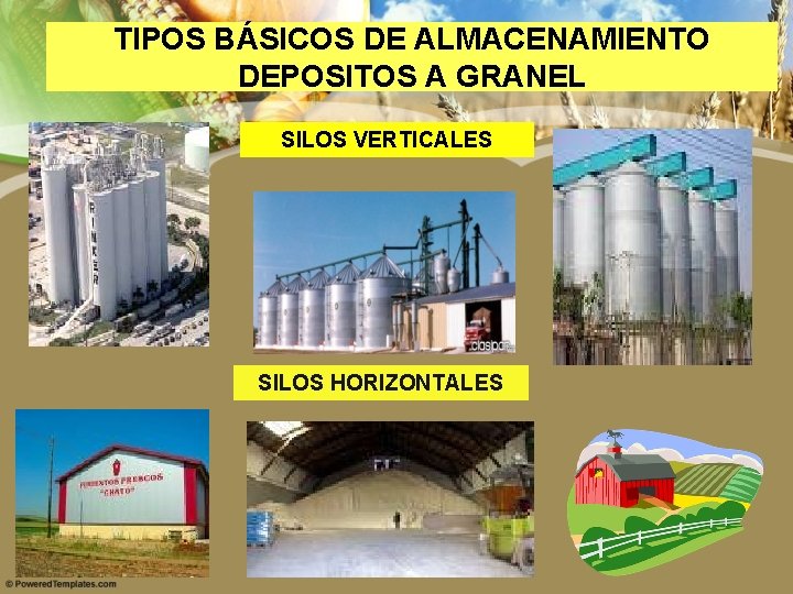 TIPOS BÁSICOS DE ALMACENAMIENTO DEPOSITOS A GRANEL SILOS VERTICALES SILOS HORIZONTALES 