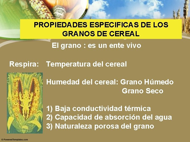 PROPIEDADES ESPECIFICAS DE LOS GRANOS DE CEREAL El grano : es un ente vivo