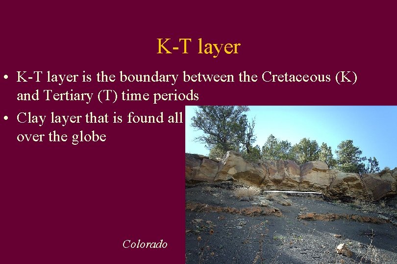 K-T layer • K-T layer is the boundary between the Cretaceous (K) and Tertiary