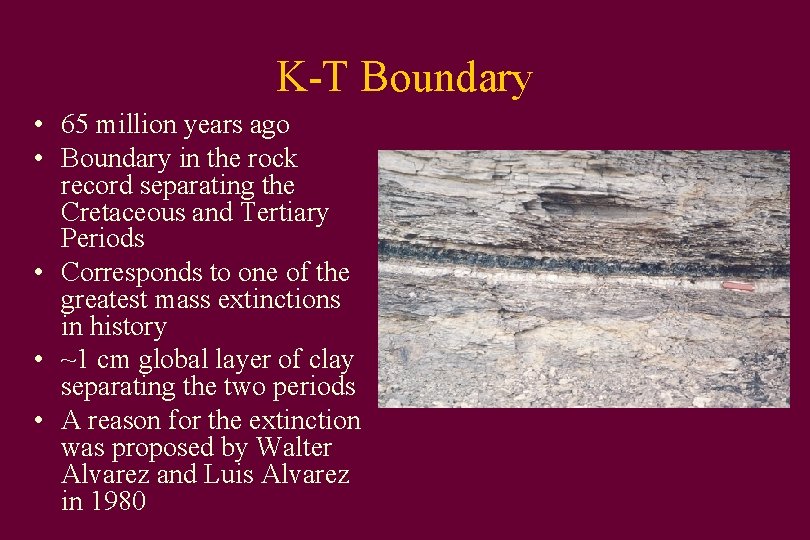 K-T Boundary • 65 million years ago • Boundary in the rock record separating
