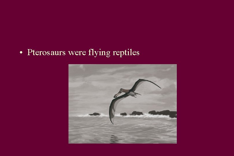  • Pterosaurs were flying reptiles 