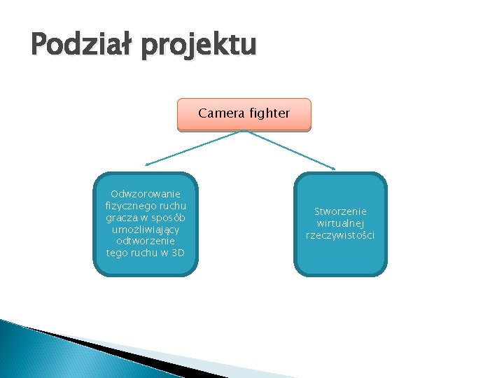 Podział projektu Camera fighter Odwzorowanie fizycznego ruchu gracza w sposób umożliwiający odtworzenie tego ruchu