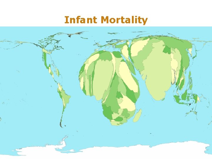 Infant Mortality 