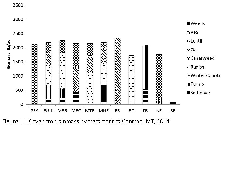 Figure 11. Cover crop biomass by treatment at Contrad, MT, 2014. 