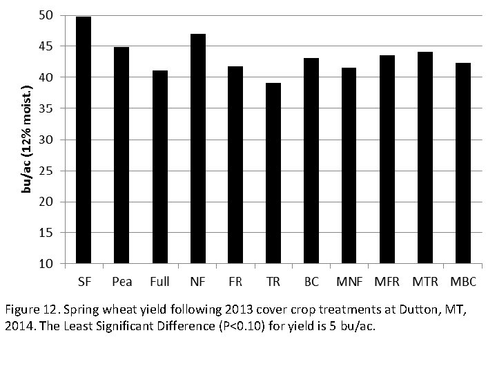 Figure 12. Spring wheat yield following 2013 cover crop treatments at Dutton, MT, 2014.