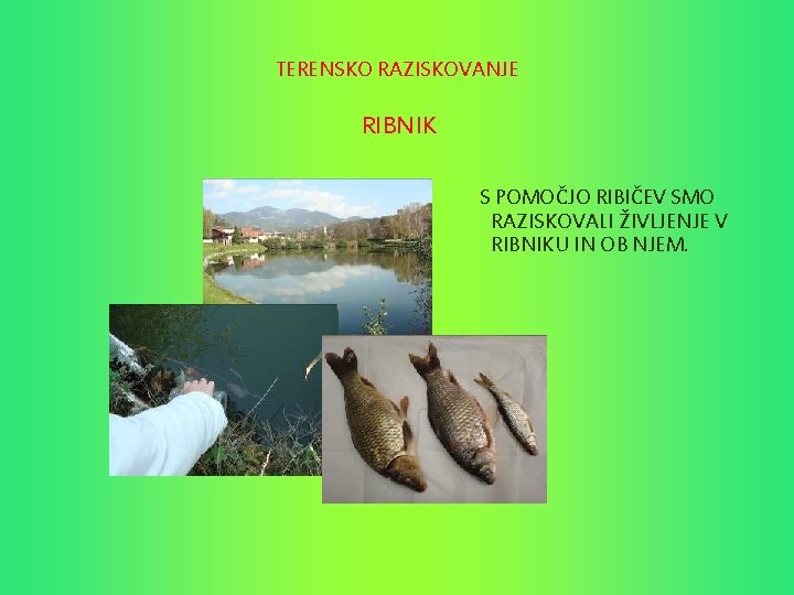 TERENSKO RAZISKOVANJE RIBNIK S POMOČJO RIBIČEV SMO RAZISKOVALI ŽIVLJENJE V RIBNIKU IN OB NJEM.