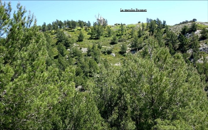 Le moulin Bonnet 