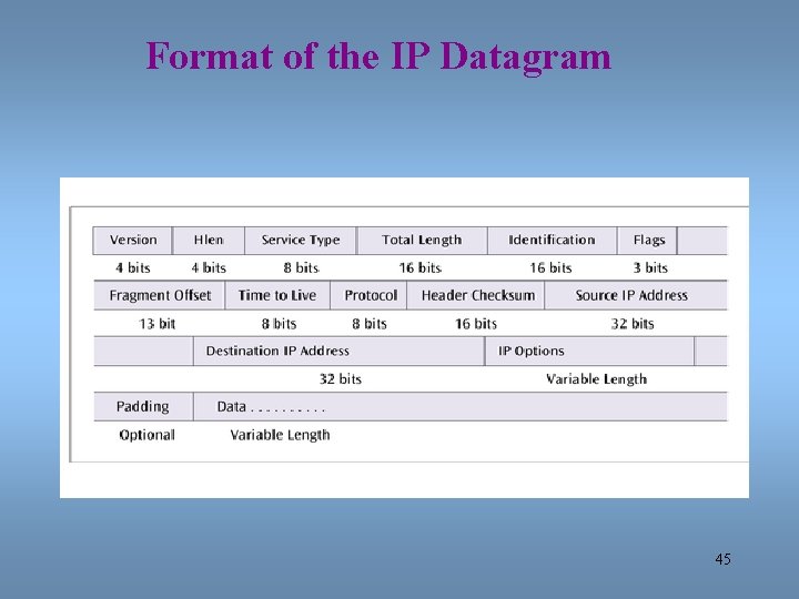 Format of the IP Datagram 45 