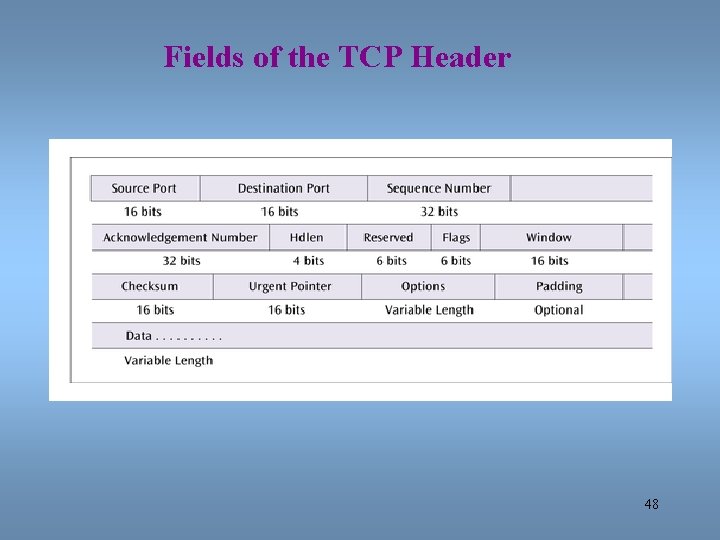 Fields of the TCP Header 48 