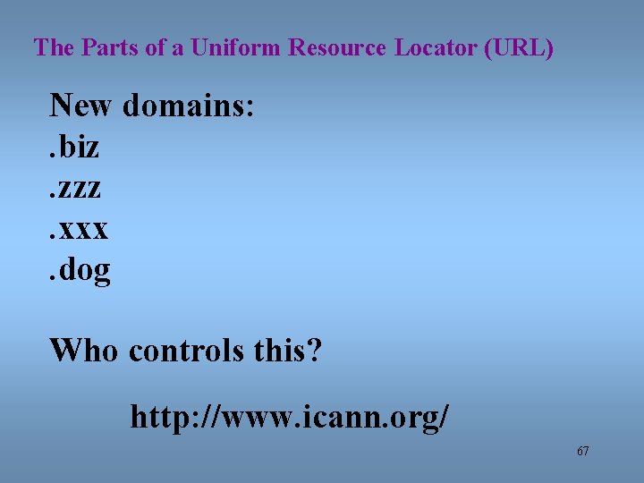 The Parts of a Uniform Resource Locator (URL) New domains: . biz. zzz. xxx.