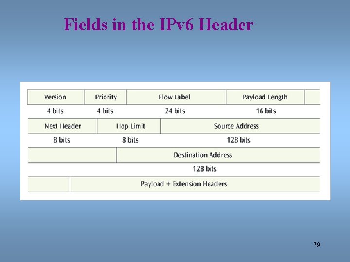 Fields in the IPv 6 Header 79 