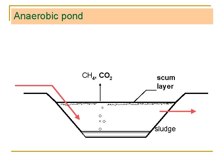 Anaerobic pond CH 4, CO 2 scum layer sludge 