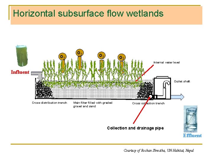 Horizontal subsurface flow wetlands o 2 o 2 Internal water level Influent Outlet shaft